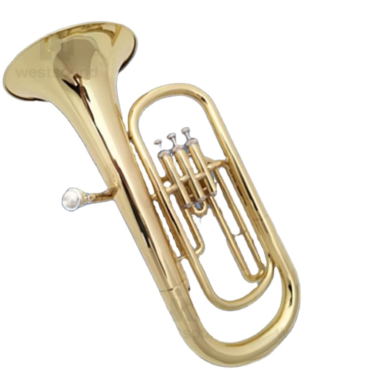 آلة موسيقية باريتون يوفونيوم ب - مراجعة Musical Instrument Euphonium وسعره
